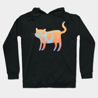 Confused Orange and Blue Cat Hoodie